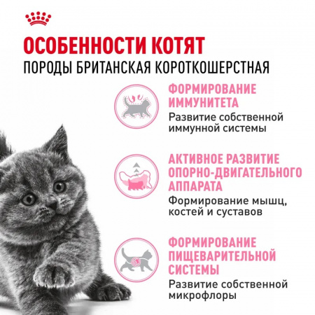 Сухой корм ROYAL CANIN British Shorthair Kitten, для британских короткошерстных котят, 2кг