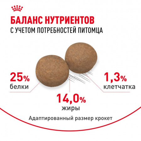 Сухой корм ROYAL CANIN Medium Adult для взрослых собак средних размеров (весом от 11 до 25 кг) в возрасте от 12 месяцев до 7 лет 15кг