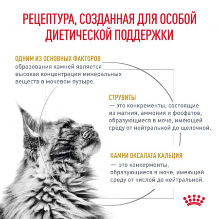 Влажный корм ROYAL CANIN Urinary S/O для взрослых кошек при мочекаменной болезни, соус, 85г