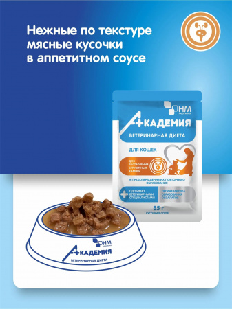 Влажный корм АКАДЕМИЯ Ветеринарная диета для взрослых кошек, для растворения струвитных камней, с курицей, 85г