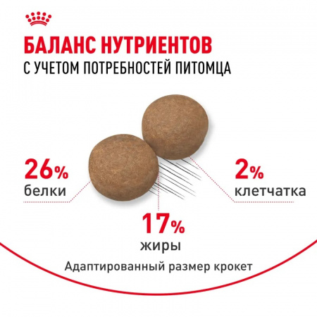 Сухой корм ROYAL CANIN Maxi Adult для собак крупных пород (весом от 26 до 44 кг) в возрасте от 15 месяцев до 5 лет, 15кг