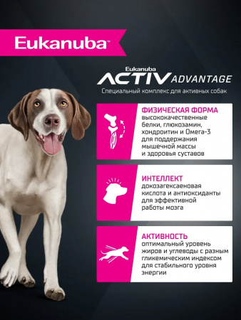 Сухой корм EUKANUBA для взрослых собак крупных и очень крупных пород, с ягненком, 3 кг