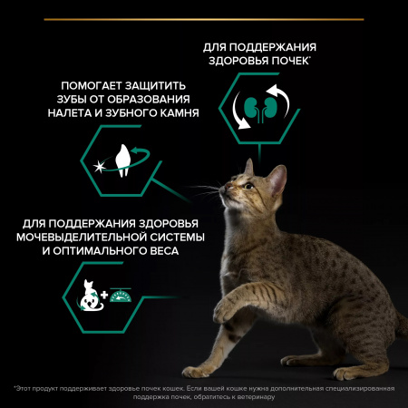 Сухой корм Purina PRO PLAN Sterilised Renal Plus для взрослых стерилизованных кошек, для поддержания здоровья почек, с индейкой, 200 г