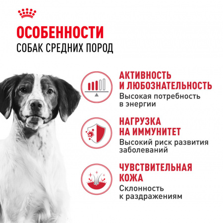 Сухой корм ROYAL CANIN Medium Adult для взрослых собак средних размеров (весом от 11 до 25 кг) в возрасте от 12 месяцев до 7 лет 15кг