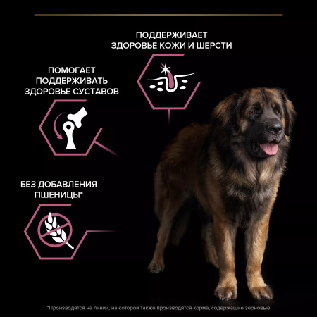 Сухой корм Purina PRO PLAN Sensitive Skin для взрослых собак крупных пород с мощным телосложением, с чувствительной кожей, с лососем, 14 кг