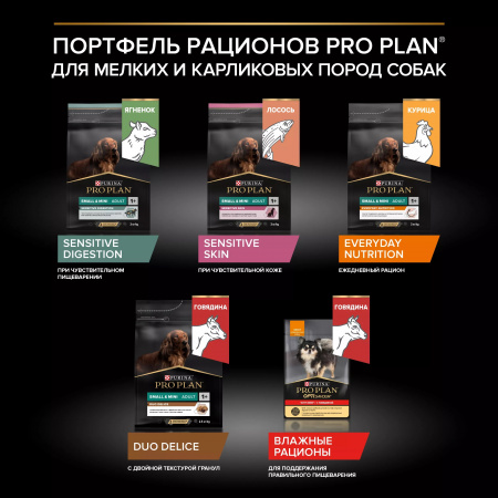 Сухой корм Purina PRO PLAN Everyday Nutrition для взрослых собак мелких и карликовых пород, с курицей, 7 кг