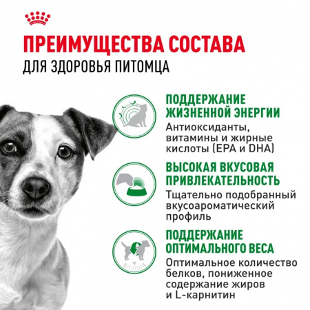 Сухой корм ROYAL CANIN Mini Adult 8+ для стареющих собак мелких пород (весом от 1 до 10 кг) в возрасте от 8 лет, 4кг