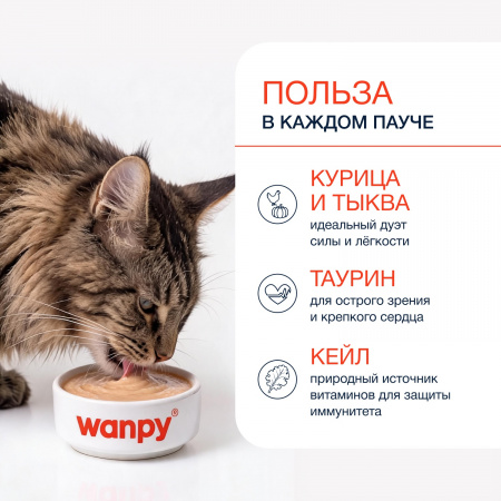 Лакомство Wanpy Cat для взрослых кошек, Нежное пюре из курицы с тыквой и кейлом, 70г
