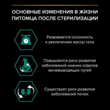Влажный корм Purina PRO PLAN для взрослых стерилизованных кошек, с говядиной в желе, 85г