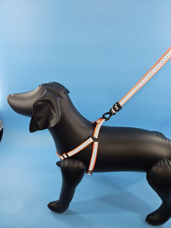 VT-12-PI Светоотражающий поводок + шлейка для домашних животных.”Цветок”. Цвет: розовый