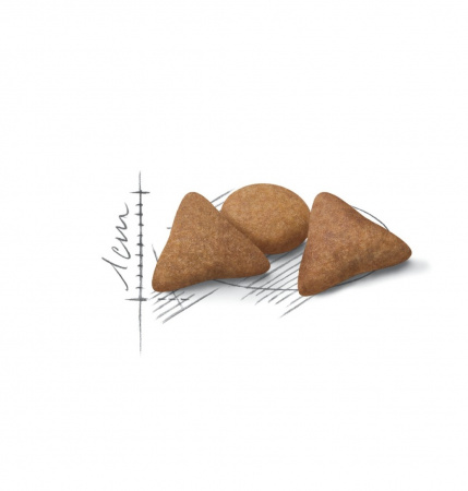 Сухой корм ROYAL CANIN Indoor Appetite Control, для взрослых кошек, живущих в помещении и склонных к перееданию, 400г.