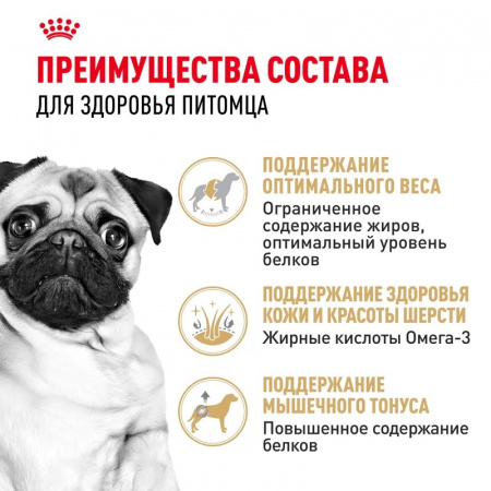 Сухой корм ROYAL CANIN Pug Adult, для взрослых собак породы Мопс от 10 месяцев, 1.5кг