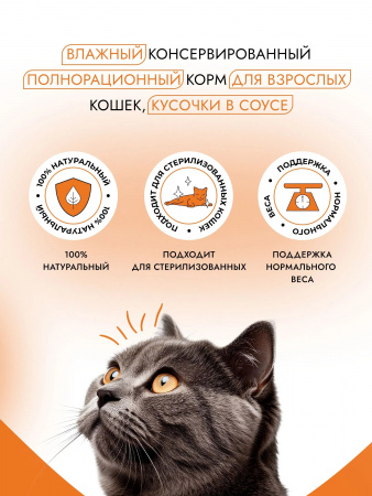 Влажный корм Best Dinner Basic для взрослых кошек, кусочки в соусе, с кроликом и индейкой, 75г