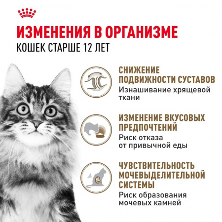 Влажный корм ROYAL CANIN Ageing 12+для стареющих кошек в возрасте старше 12 лет, мелкие кусочки в соусе, 85г