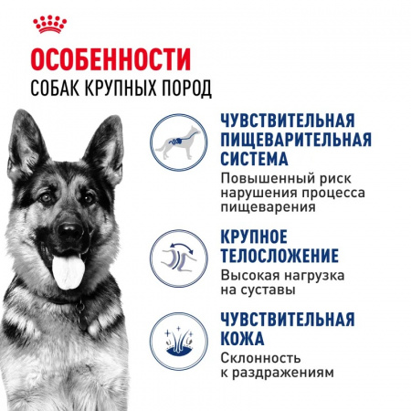 Сухой корм ROYAL CANIN Maxi Adult для собак крупных пород (весом от 26 до 44 кг) в возрасте от 15 месяцев до 5 лет, 15кг