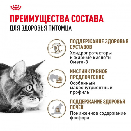 Влажный корм ROYAL CANIN Ageing 12+для стареющих кошек в возрасте старше 12 лет, мелкие кусочки в соусе, 85г