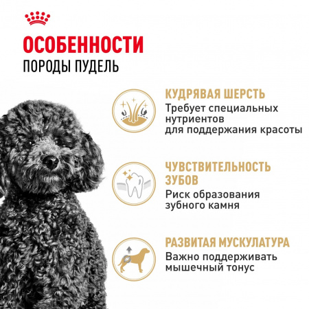 Сухой корм ROYAL CANIN Poodle Adult, для взрослых собак породы Пудель, 1,5 кг