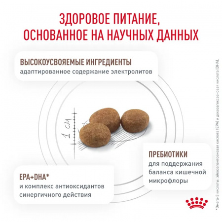 Сухой корм ROYAL CANIN Gastrointestinal Hairball для взрослых кошек для профилактики образования волосяных комочков 2кг