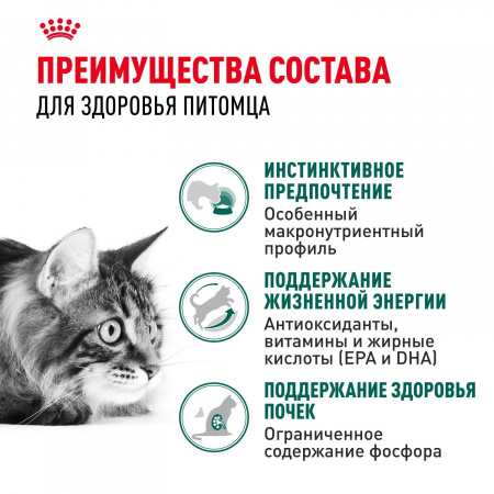 Влажный корм ROYAL CANIN Instinctive 7+ для кошек в возрасте старше 7 лет, мелкие кусочки в соусе, 85г