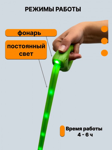 wb_338614137_2