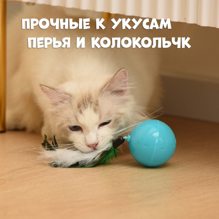 T0202 Автоматическая игрушка для домашних животных «Чистый котик», 67*70мм