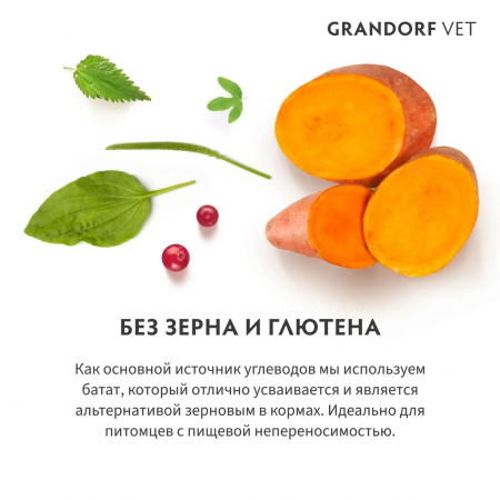 Сухой корм GRANDORF DOG Veterinary Diet Dermatosis для взрослых собак, при дерматозах и чрезмерном выпадении шерсти, с лососем, 1 кг