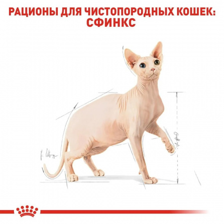 Сухой корм ROYAL CANIN Sphynx Adult,для взрослых кошек породы Сфинкс, 400г.