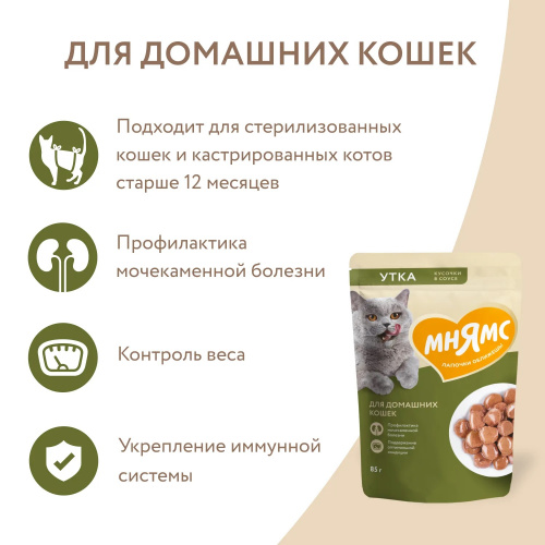 для дом кошек5