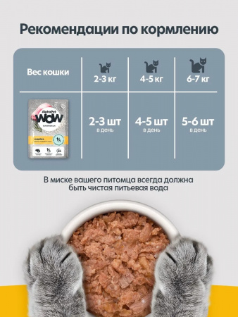Влажный корм AlphaPet WOW Superpremium для котят, беременных и кормящих кошек, нежные ломтики индейки в соусе, 85г