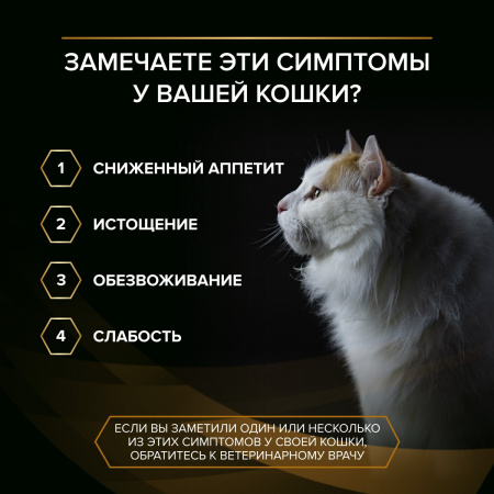 Влажный корм PRO PLAN VETERINARY DIETS NF Renal Function Early Care для кошек, для поддержания функции почек при ХПН, с курицей, 85г
