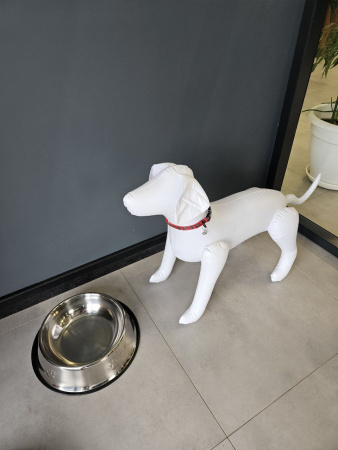 G12 Миска для собаки "Лапа L" из нержавеющей стали "Чистый котик", 30см