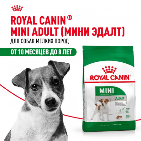 Сухой корм ROYAL CANIN Mini Adult для собак мелких пород (весом от 1 до 10 кг) в возрасте от 10 месяцев до 8 лет 8кг