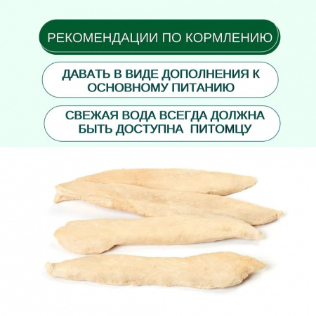 Лакомство Wanpy Dog для собак, сублимированное "Утиная грудка", 40г