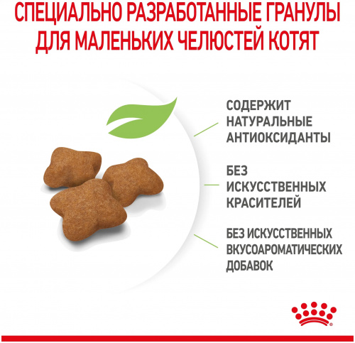 2 (4)-min222
