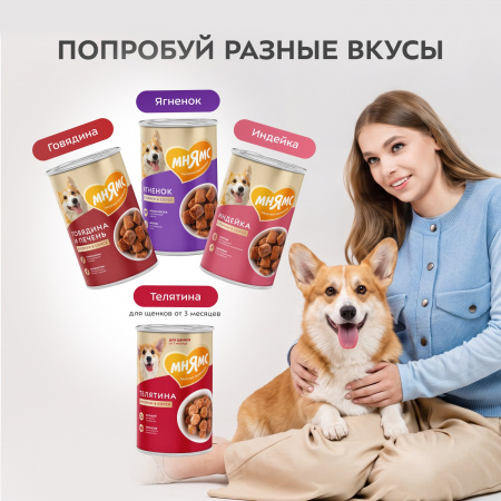 Влажный корм Мнямс для взрослых собак всех пород, кусочки в соусе с кроликом «Фитнес», 400г