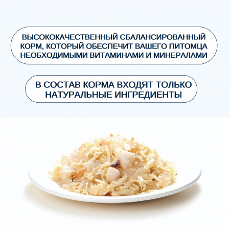 Влажный корм Wanpy Cat для взрослых кошек, курица с гребешком, 95г