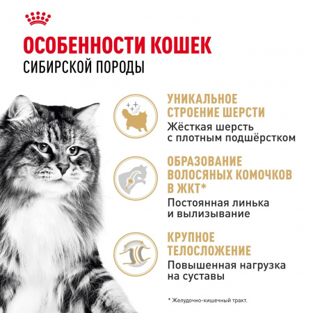 Сухой корм ROYAL CANIN Siberian Adult для взрослых кошек сибирской породы, 2 кг