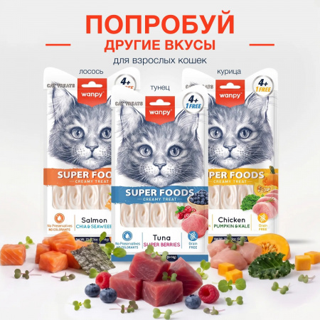 Лакомство Wanpy Cat для взрослых кошек, нежное пюре из тунца с ягодами, 70г