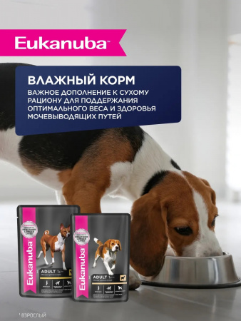 Сухой корм EUKANUBA для взрослых собак мелких и средних пород, с ягненком, 800г