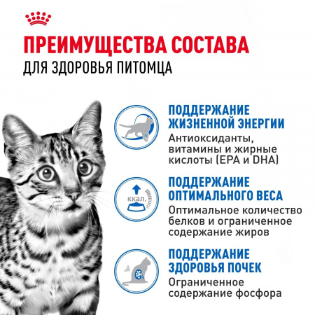 Влажный корм ROYAL CANIN Indoor Sterilised 7+, для кошек в возрасте от 7 до 12 лет, живущих в помещении, кусочки в желе, 85г