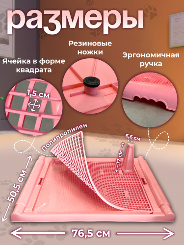 Роз2