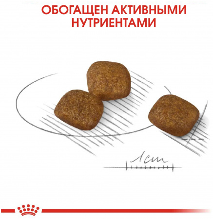 Сухой корм ROYAL CANIN Mini Urinary care, для взрослых и стареющих собак мелких размеров с чувствительной мочевыделительной системой, 1кг