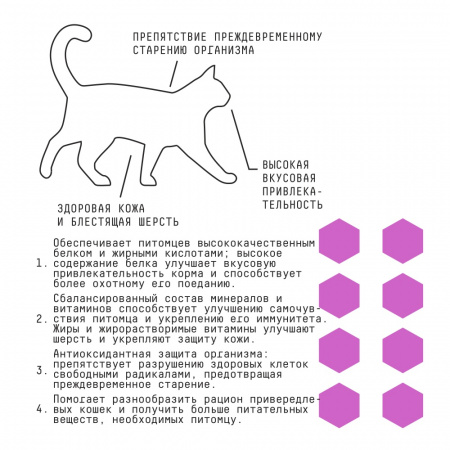 Сухой корм AJO Cat SPECIAL LINE DELICATE TASTE для привередливых кошек и котят, индейка курица свинина, 10кг