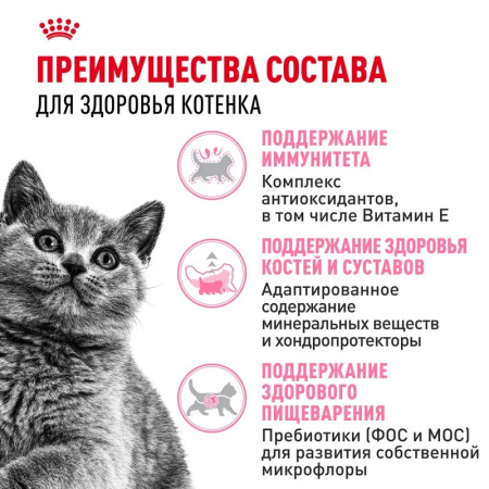 Сухой корм ROYAL CANIN British Shorthair Kitten, для британских короткошерстных котят, 2кг