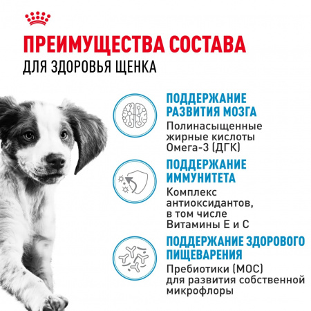 Влажный корм ROYAL CANIN Medium Puppy для щенков средних пород до 12 месяцев, кусочки в соусе, 100г