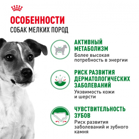 Сухой корм ROYAL CANIN Mini Adult для собак мелких пород (весом от 1 до 10 кг) в возрасте от 10 месяцев до 8 лет 8кг