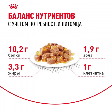 Влажный корм ROYAL CANIN Indoor Sterilised 7+, для кошек в возрасте от 7 до 12 лет, живущих в помещении, кусочки в желе, 85г
