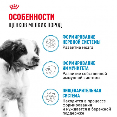 Влажный корм ROYAL CANIN Medium Puppy для щенков средних пород до 12 месяцев, кусочки в соусе, 100г