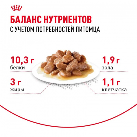 Влажный корм ROYAL CANIN Indoor Sterilised 7+  для  кошек (в возрасте от 7 до 12 лет), живущих в помещении, мелкие кусочки в соусе, 85г
