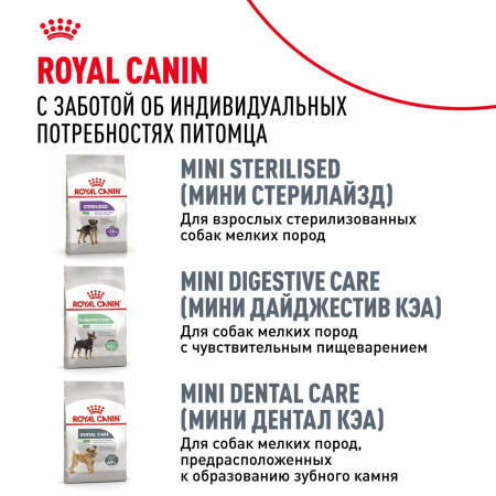 Сухой корм ROYAL CANIN Poodle Adult, для взрослых собак породы Пудель, 1,5 кг
